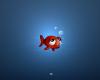 funny 3d wallpapers (4)